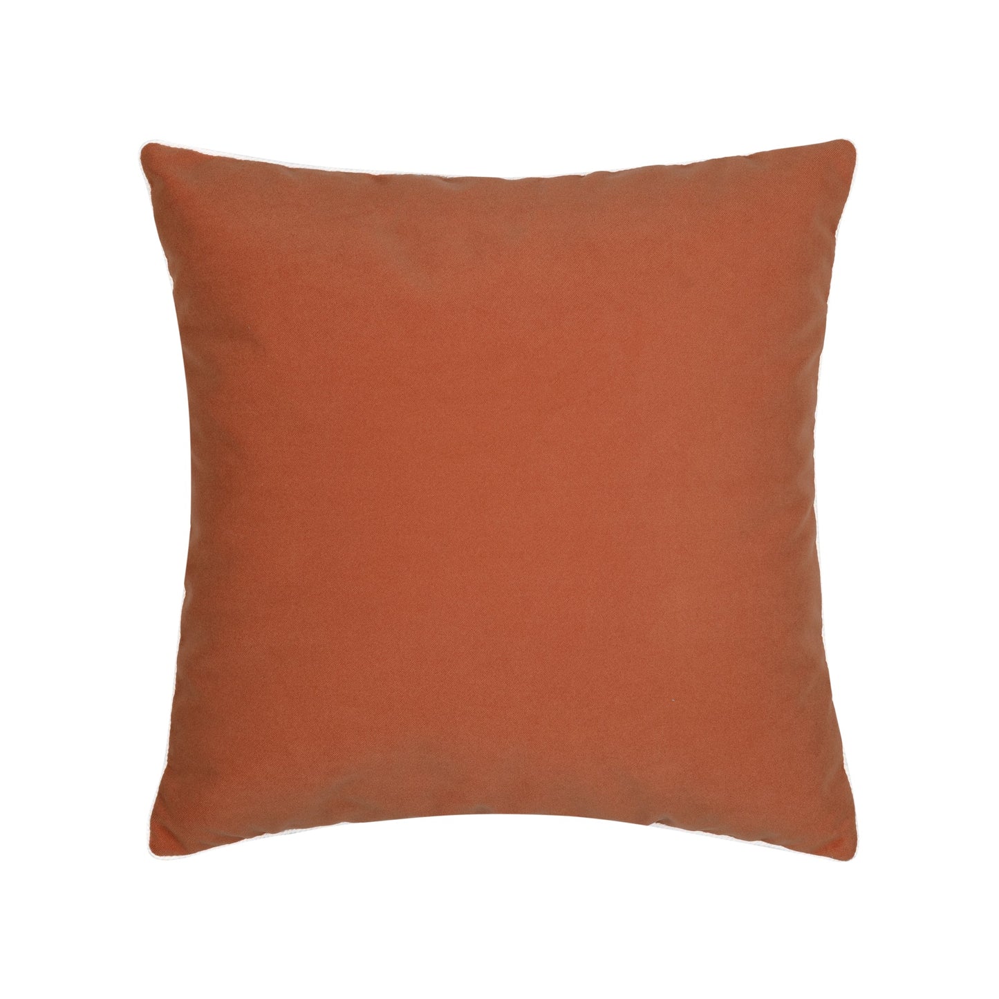 Elaine Smith Lush Velvet Papaya/Tiffany, Corded Outdoor Pillow 20" x 20"