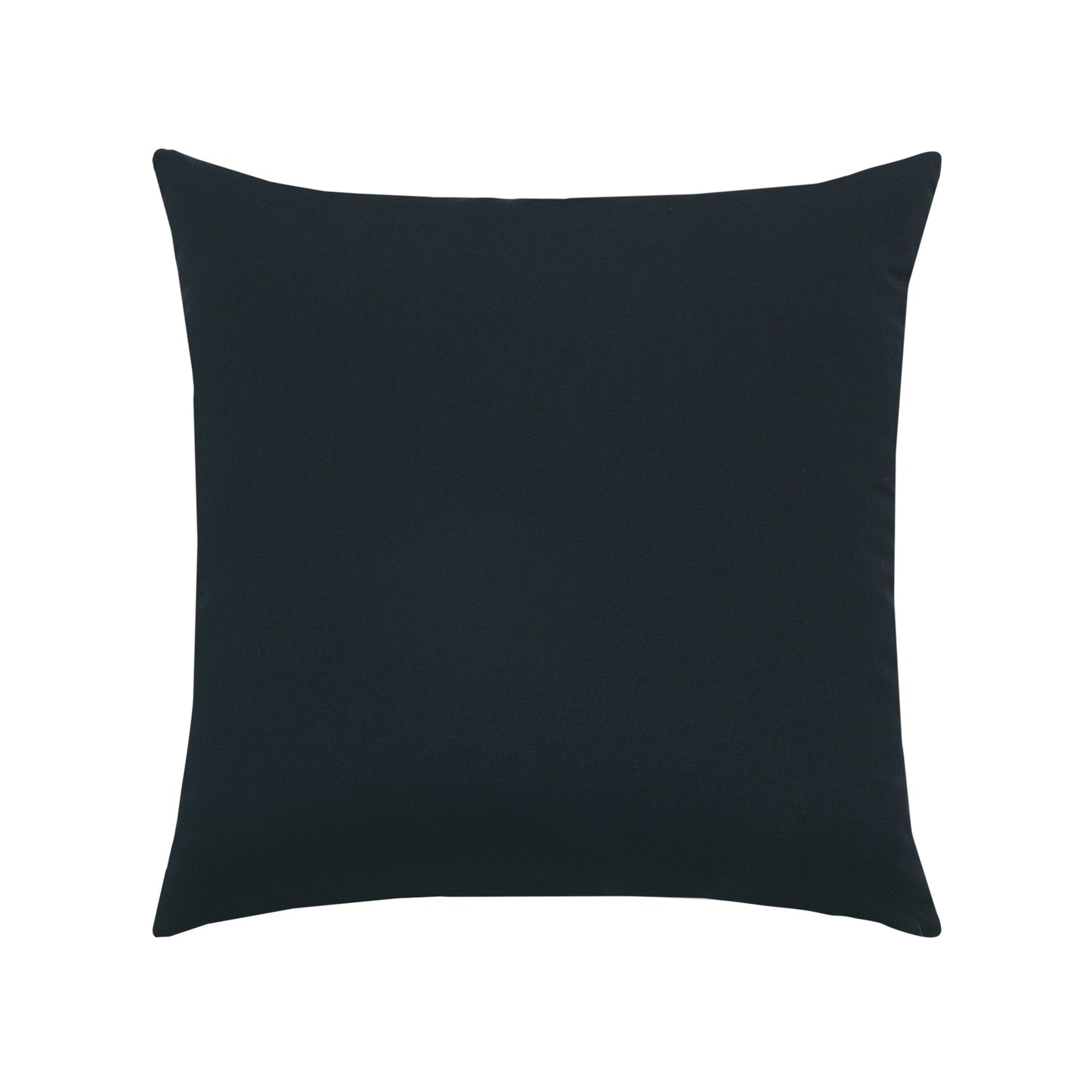 Elaine Smith Canvas Black Outdoor Pillow 20" x 20"