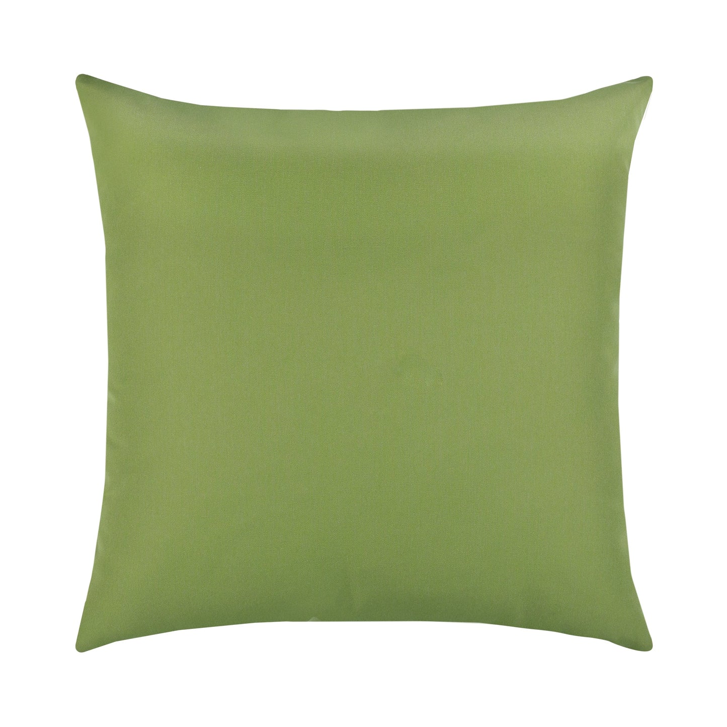 Elaine Smith Canvas Ginkgo* Outdoor Pillow 22" x 22"